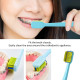 Dentshield orthodontic toothbrush for braces, soft